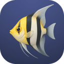 Fish With The Moon Logo